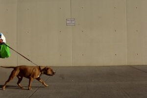 Wer übernimmt den Lead? [madochab | photocase.de]