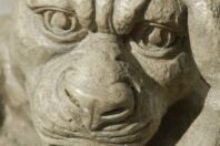 135146_web_R_by_ulitie_pixelio.de