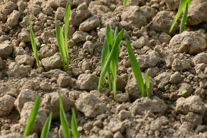 photocase4xg9sk6m4chs