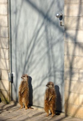 Who will set the agenda? Gatekeepers or communities?