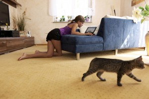 Kater Minz auf der Suche nach einem ruhigen Plätzchen...