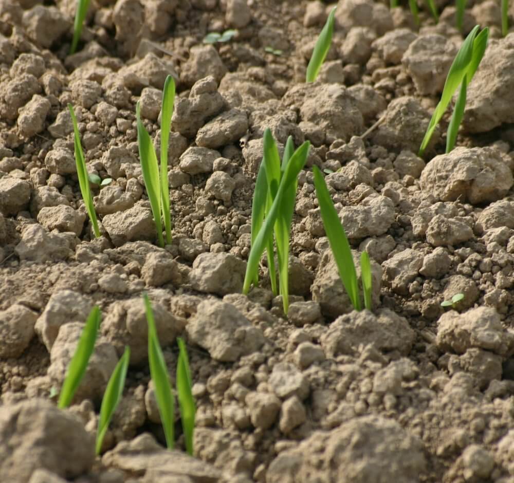 photocase4xg9sk6m4chs